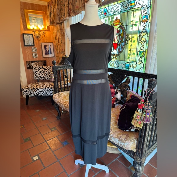 NWT Express Women's Black Mesh Strip Sleeveless Bodycon Midi Dress - Picture 1 of 5